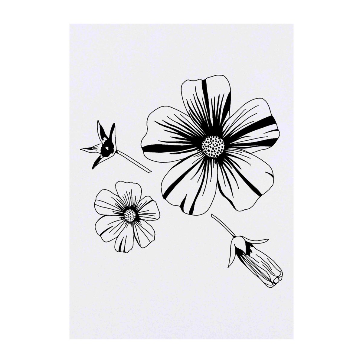 'Flower Heads & Seed Pod' Temporary Tattoo -  Water Resistant, Skin-Safe, Non-Toxic Transfer (TO00070009)