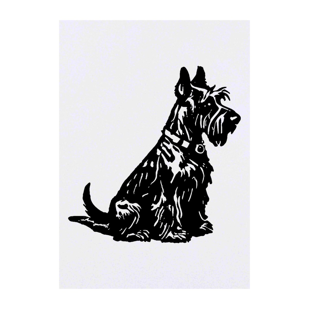 'Scottish Terrier Sitting' Temporary Tattoo -  Water Resistant, Skin-Safe, Non-Toxic Transfer (TO00071551)