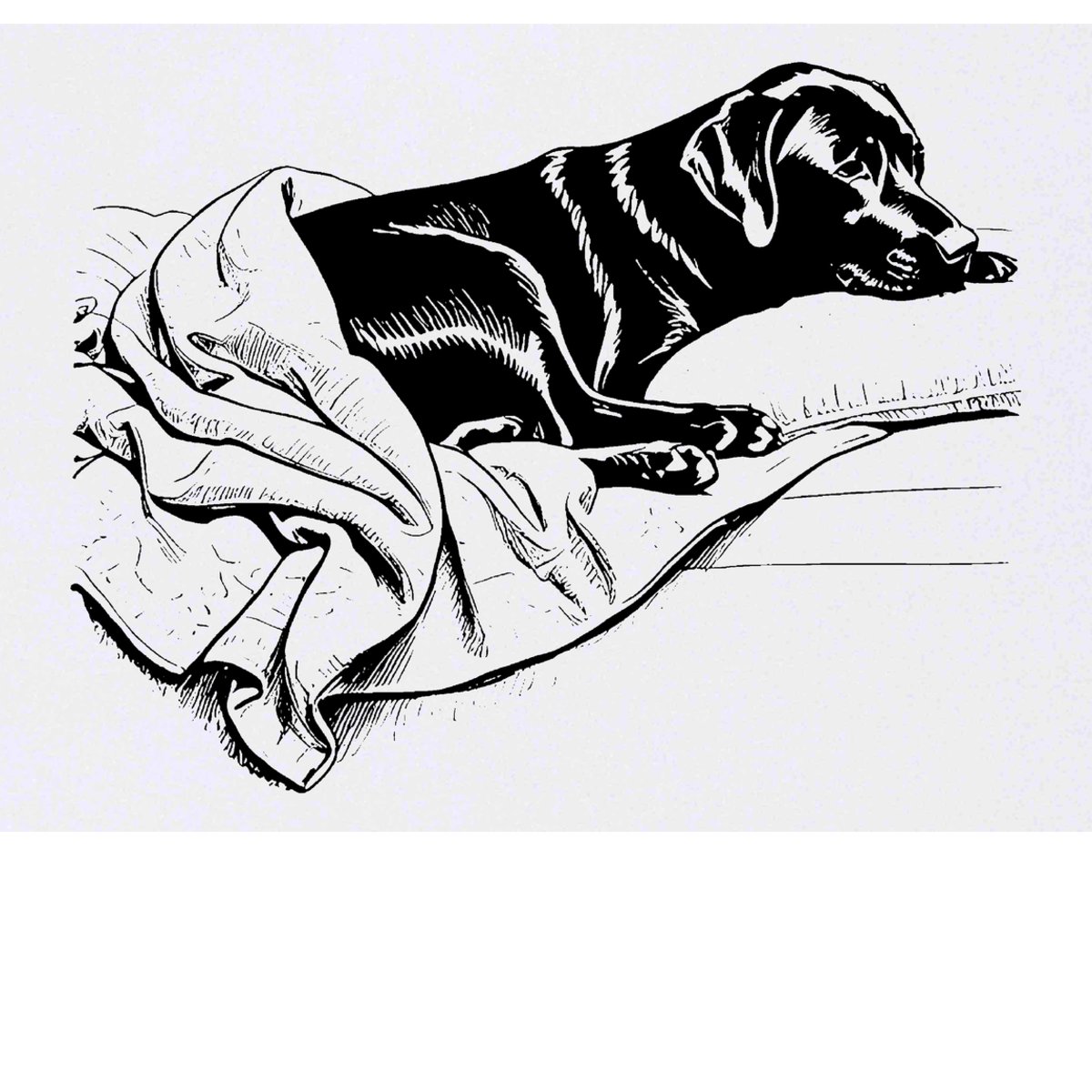 'Black Labrador Retriever' Temporary Tattoo -  Water Resistant, Skin-Safe, Non-Toxic Transfer (TO00071649)