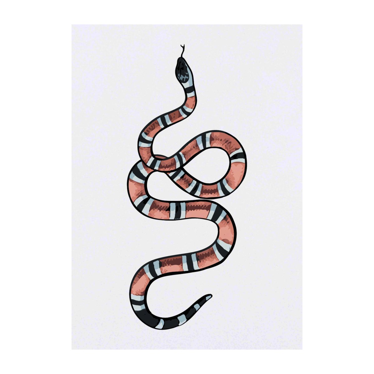 'Coral Snake' Temporary Tattoo -  Water Resistant, Skin-Safe, Non-Toxic Transfer (TO00074069)
