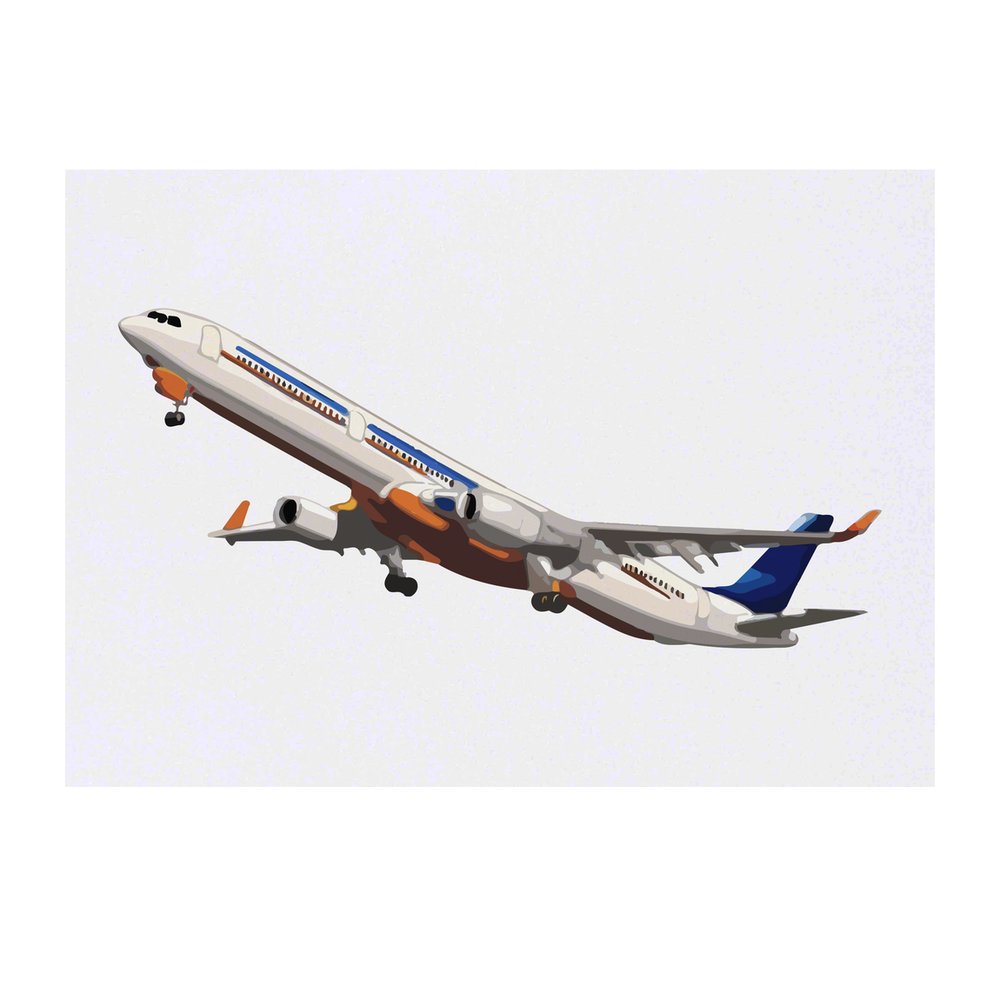 'Airplane Taking Off' Temporary Tattoo - Water Resistant, Skin-Safe, Non-Toxic Transfer (TO00074849)