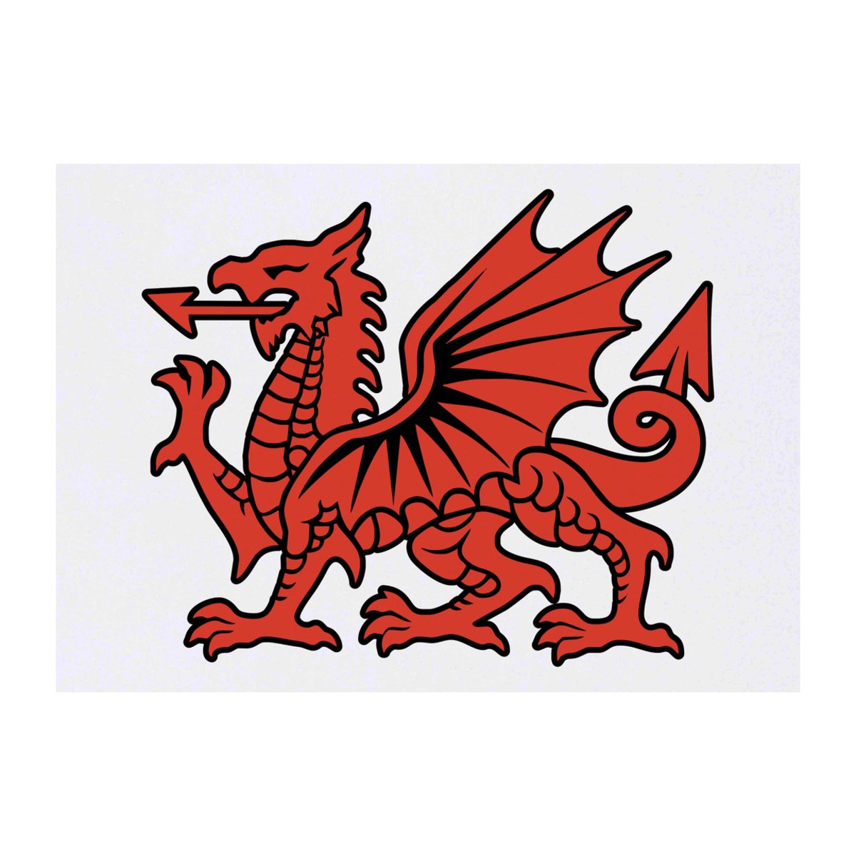'Welsh Red Dragon' Temporary Tattoo -  Water Resistant, Skin-Safe, Non-Toxic Transfer (TO00076059)