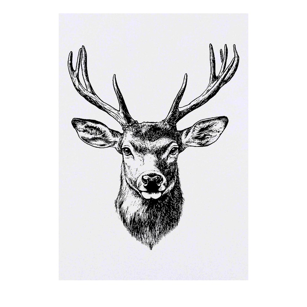 'Red Deer Stag' Temporary Tattoo - Water Resistant, Skin-Safe, Non-Toxic Transfer (TO00077067)