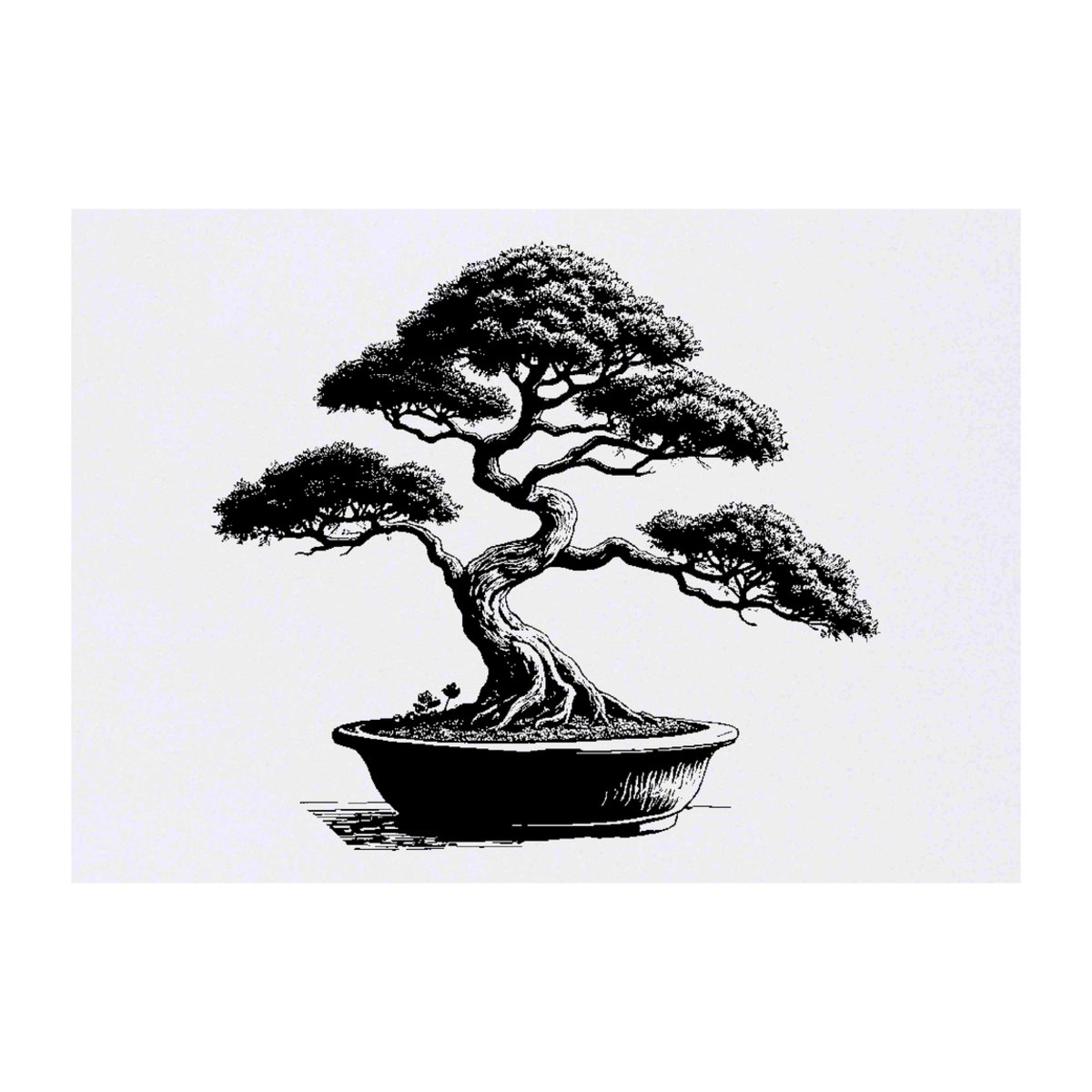 'Bonsai Tree in Pot' Temporary Tattoo -  Water Resistant, Skin-Safe, Non-Toxic Transfer (TO00079869)