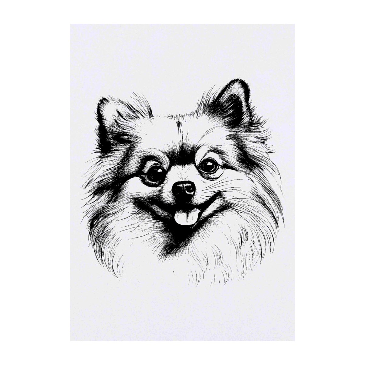 'Pomeranian Dog' Temporary Tattoo - A6 - Water Resistant Skin Safe Transfer for Parties, Costumes and Gifts (TO00080581)