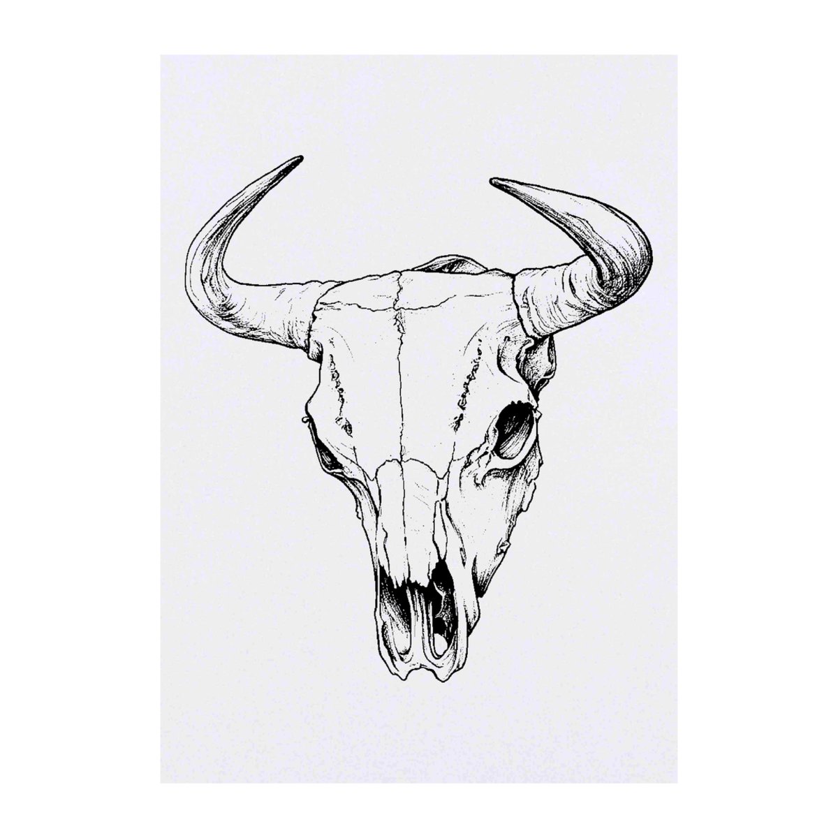 'Cow Skull' Temporary Tattoo -  Water Resistant, Skin-Safe, Non-Toxic Transfer (TO00082057)