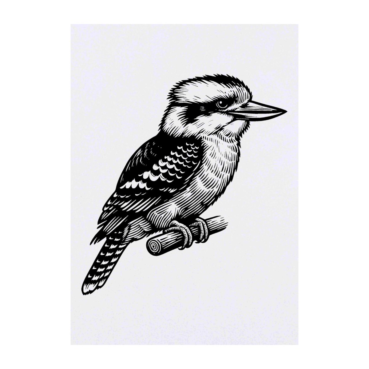 'Kookaburra Resting' Temporary Tattoo -  Water Resistant, Skin-Safe, Non-Toxic Transfer (TO00085315)