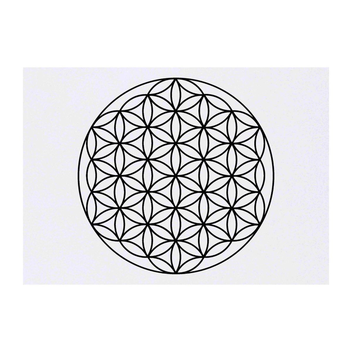 'Flower Of Life Geometry' Temporary Tattoo -  Water Resistant, Skin-Safe, Non-Toxic Transfer (TO00094661)