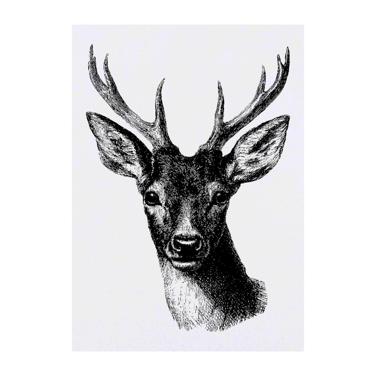 'Red Deer Portrait' Temporary Tattoo - A6 - Water Resistant Skin Safe Transfer for Parties, Costumes and Gifts (TO00094751)