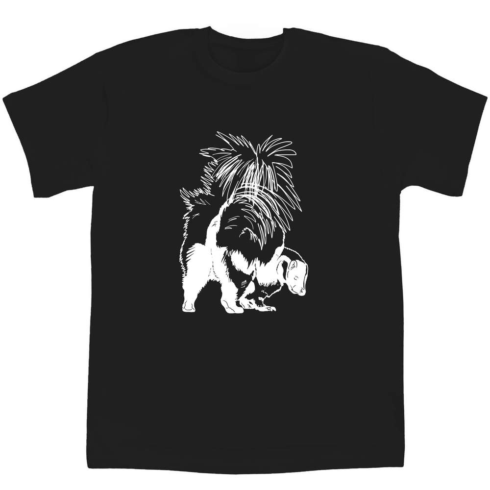 14-15 Years 'Skunk' Children's / Kid's T-Shirt (Black) (TS00253459)