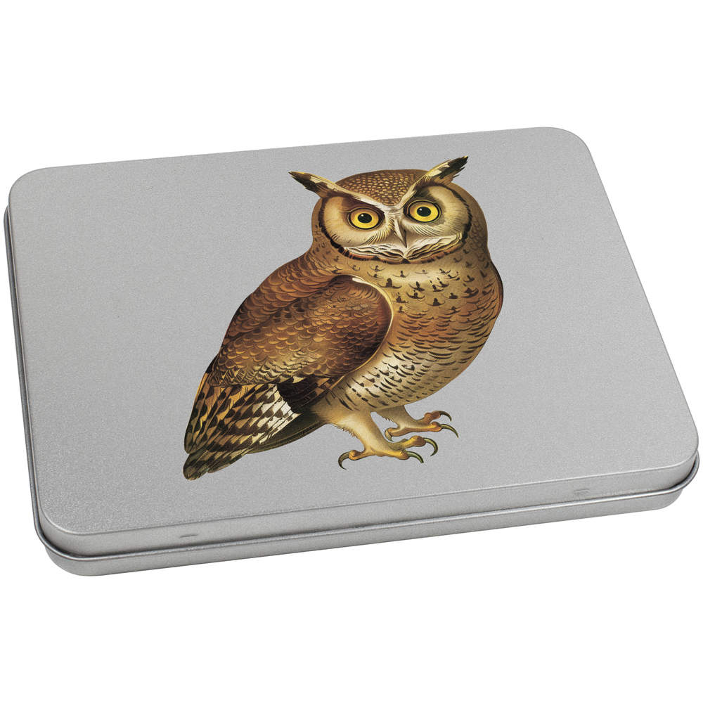'Brown Owl' Metal Hinged Storage Tin - 170mm x 130mm - Keepsake Box for Stationery, Crafts, Sweets and Small Gifts (TT00253748)