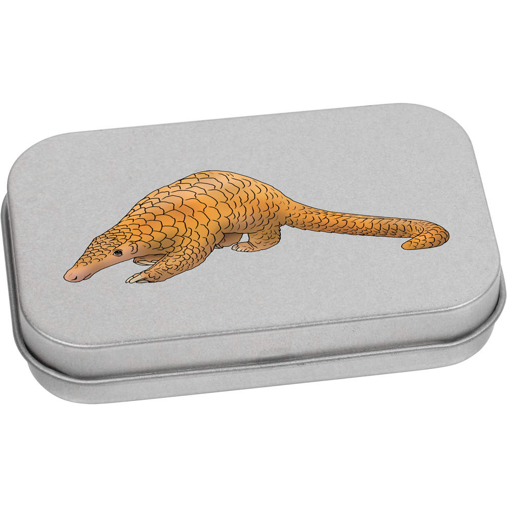 'Cute Pangolin' Storage / Stationery Tin - Metal Hinged Keepsake Box for Stationery, Crafts, Sweets and Gifts (TT040495)
