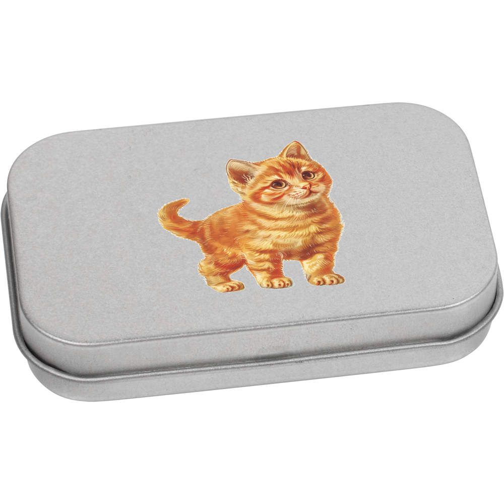 'Ginger Kitten Standing' Metal Hinged Tin / Storage Box (TT049487)