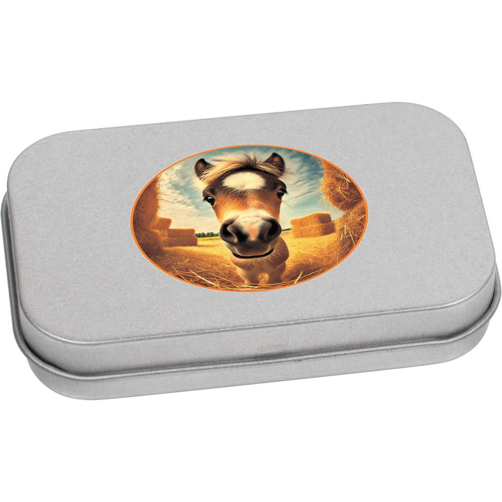 'Smiling Baby Horse' Metal Hinged Tin / Storage Box (TT051911)