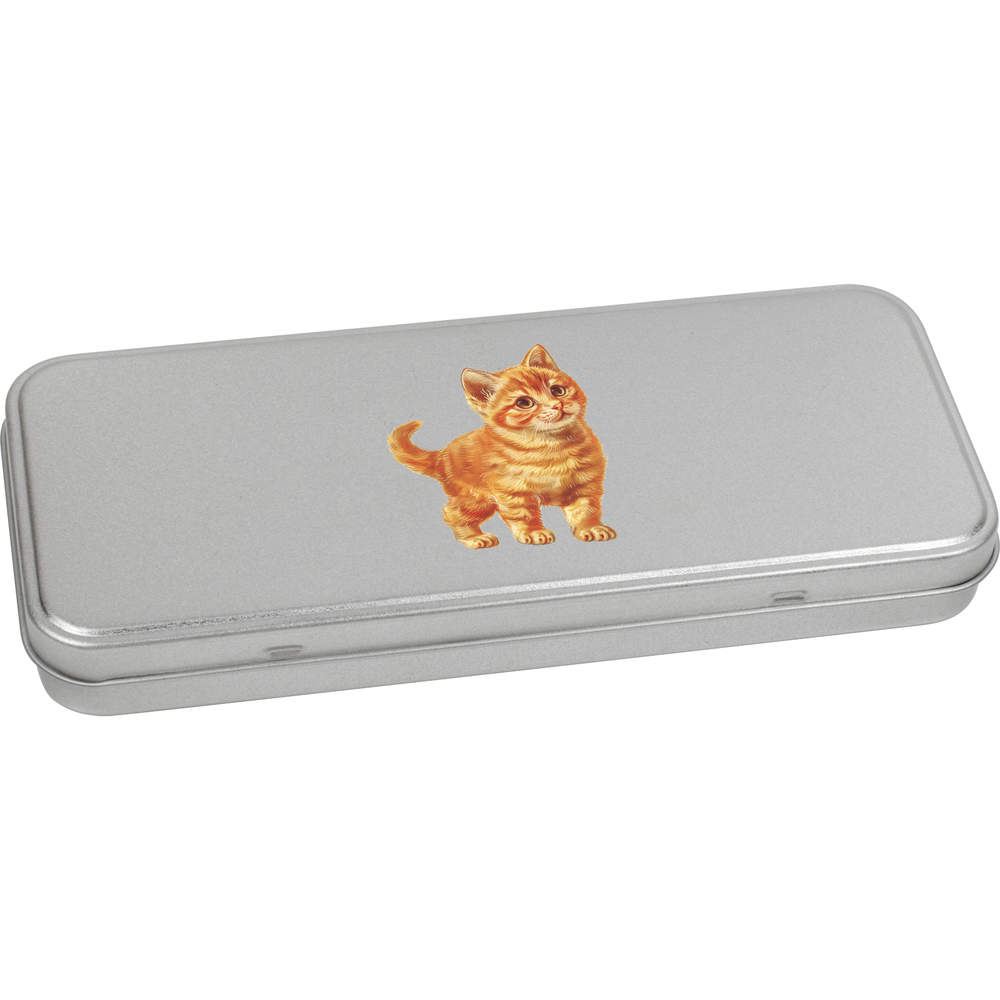 'Ginger Kitten Standing' Metal Hinged Stationery Tin / Storage Box (TT00254302)