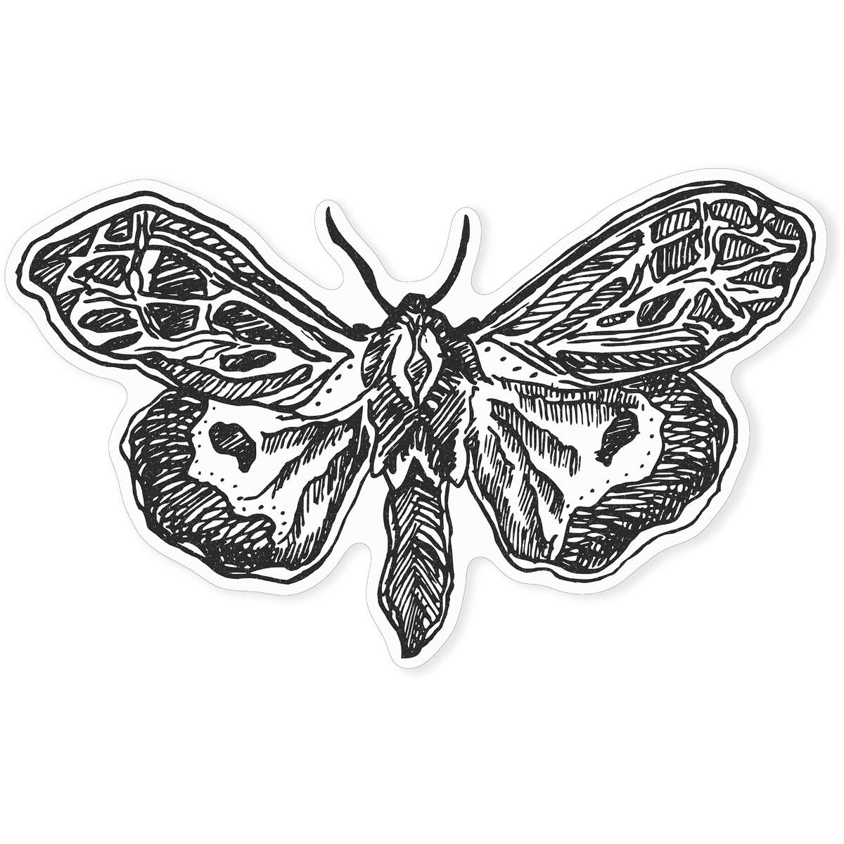 'Moth' Static Window Cling - Black, 46cm - Reusable Removable Static Cling Decal for Mirrors, Glass Doors and Cars (WC00011880)