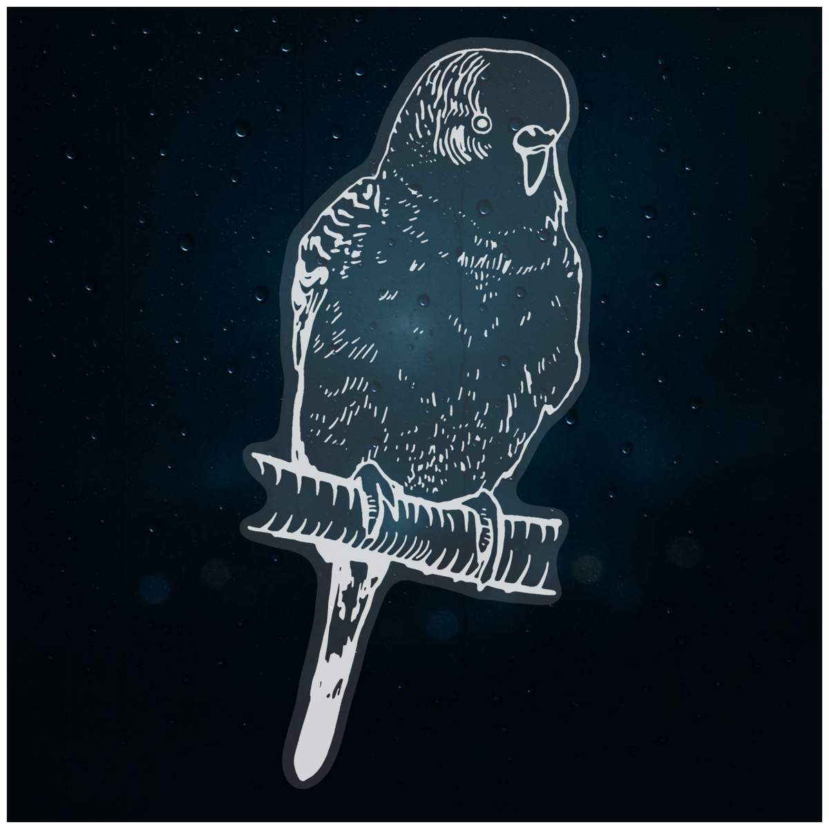 'Budgie' Static Window Cling - White, 46cm - Reusable Removable Static Cling Decal for Mirrors, Glass Doors and Cars (WC00042717)