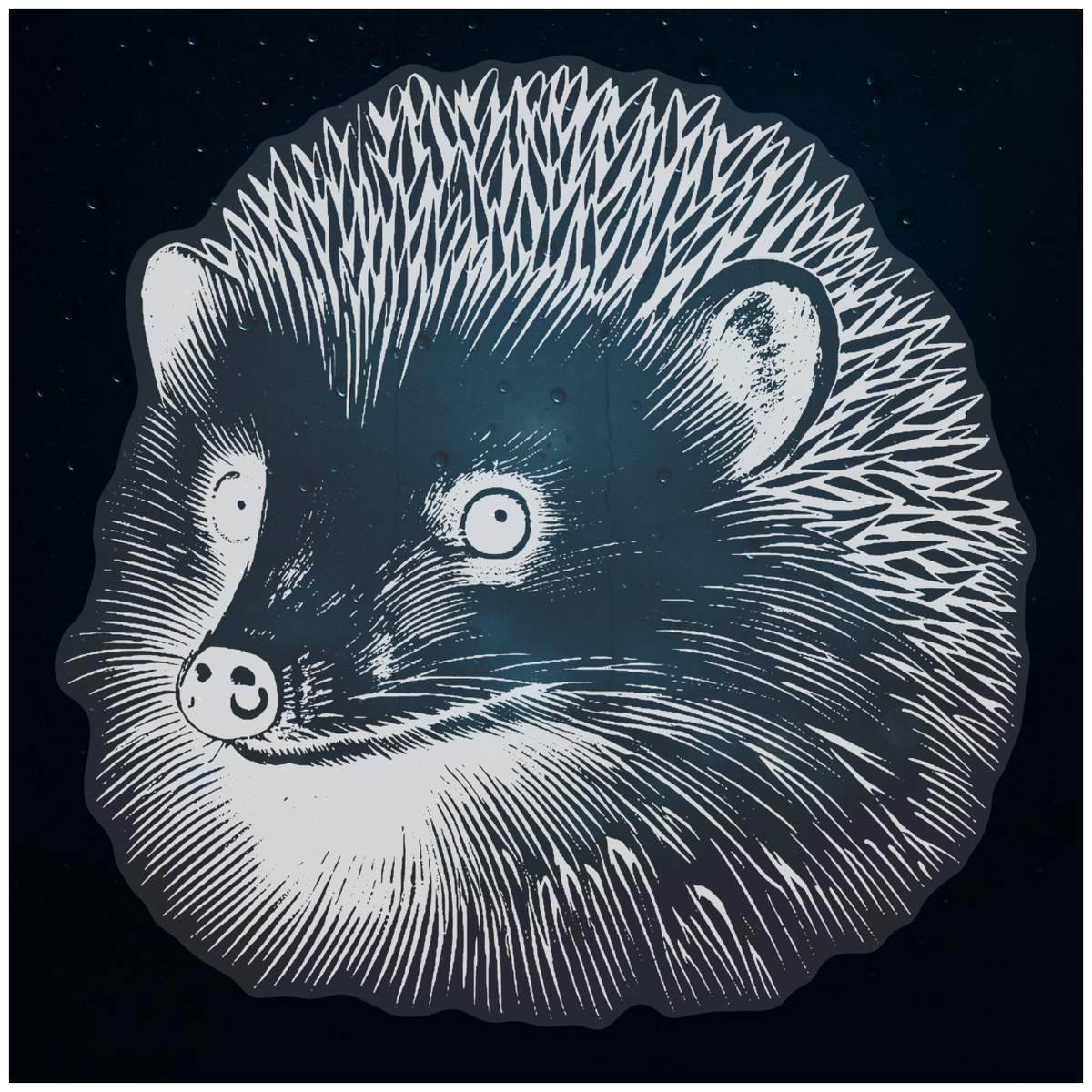 'Hedgehog' Static Window Cling - White, 46cm - Reusable Removable Static Cling Decal for Mirrors, Glass Doors and Cars (WC00094442)