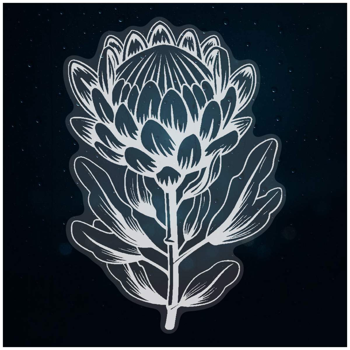 'Protea Flower' Static Window Cling - White, 46cm - Reusable Removable Static Cling Decal for Mirrors, Glass Doors and Cars (WC00107342)