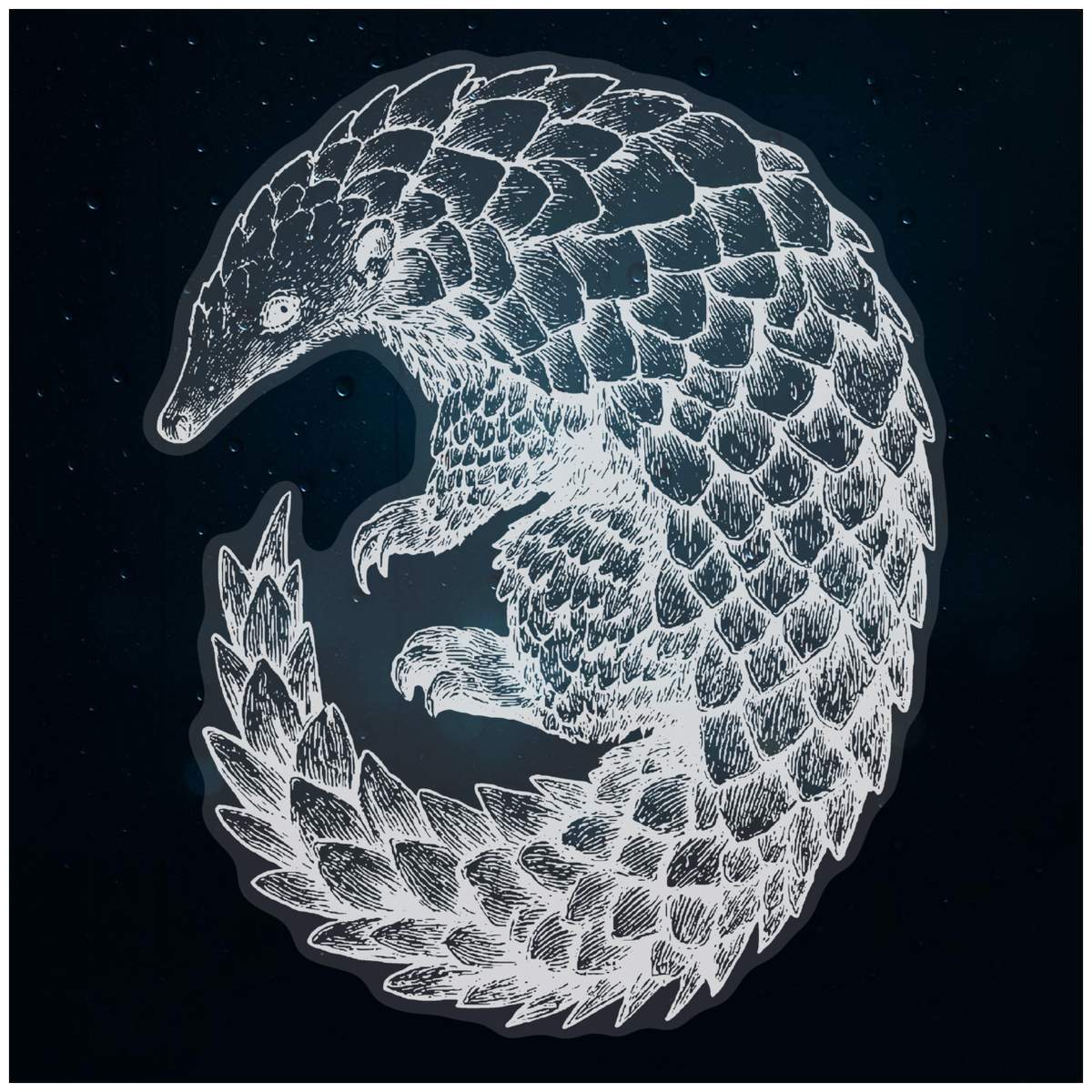 Large 460mm 'Gritty Pangolin' Clear Static Window Cling Sticker / Decal (White) (WC00131936)