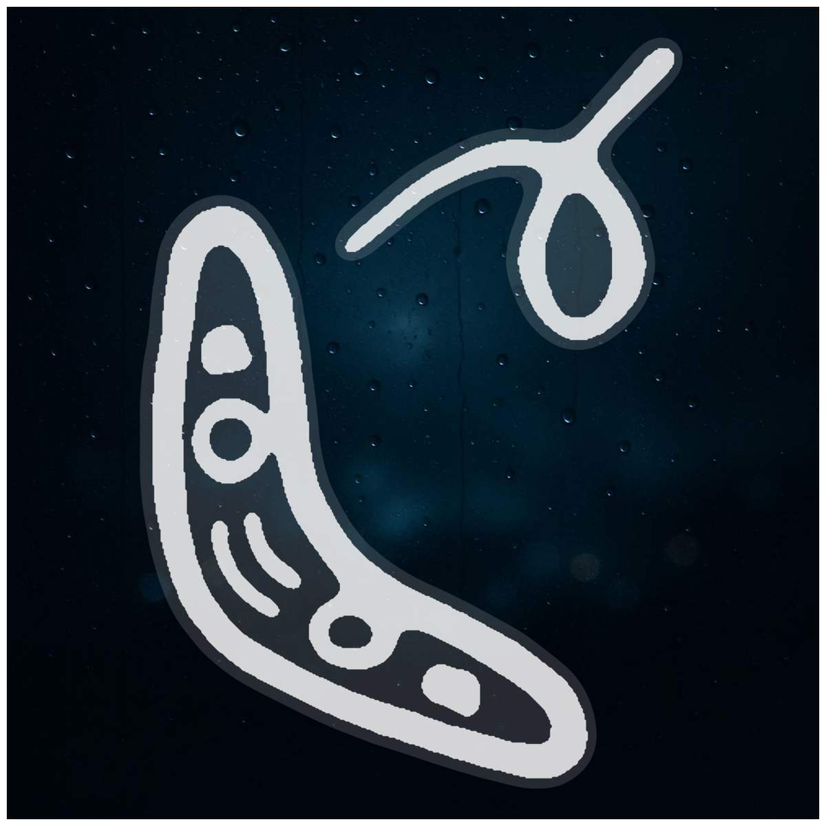 Medium 210mm 'Flying Boomerang' Clear Static Window Cling Sticker / Decal (White) (WC00078788)