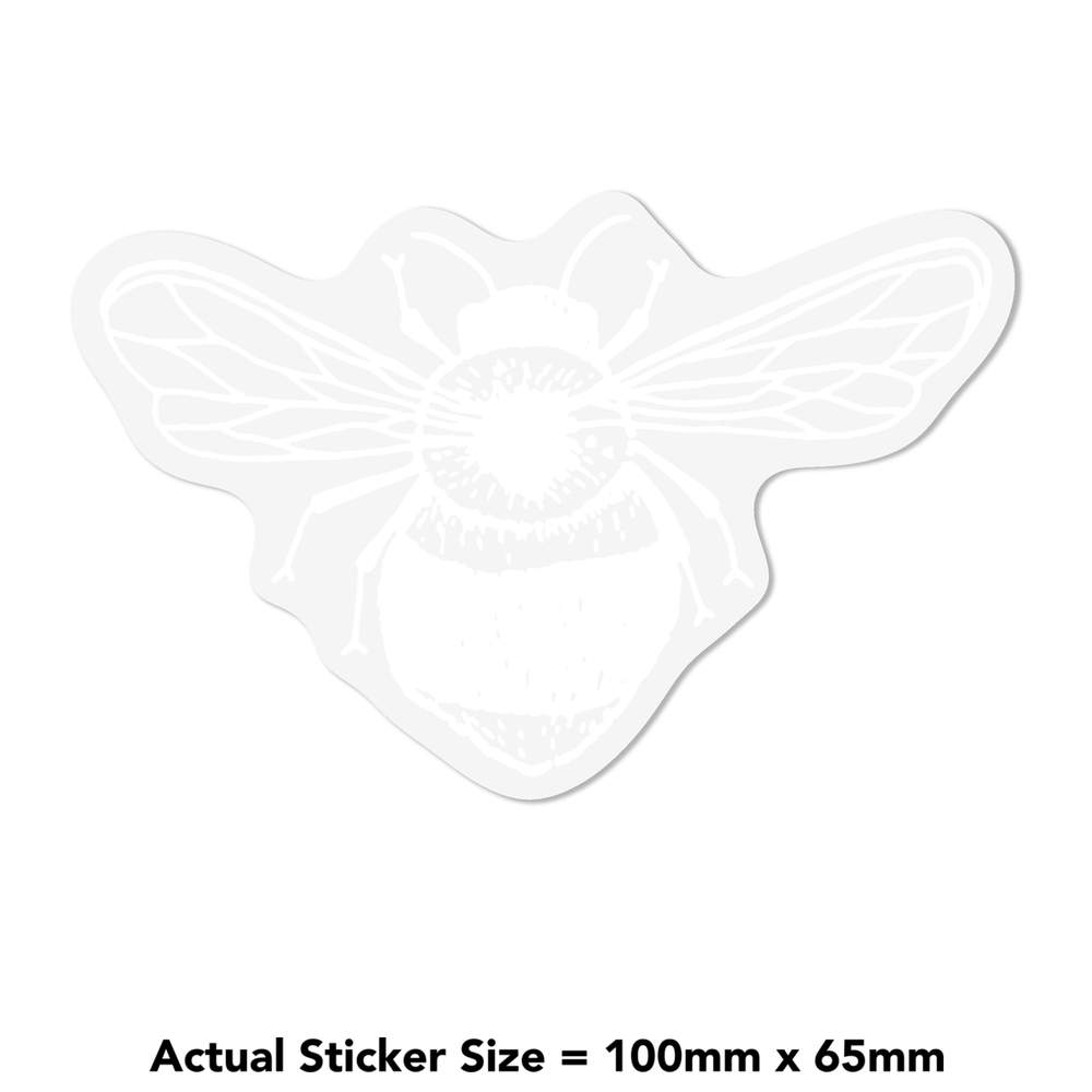 azeeda/WC/WCLINGSMLWHT/WC00008203_03