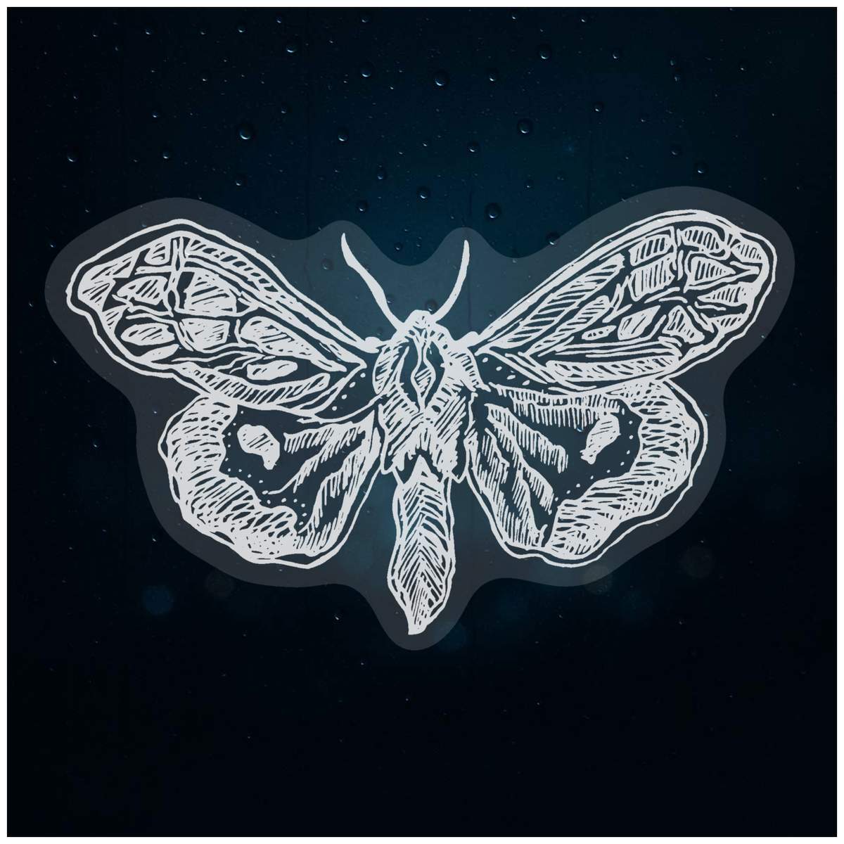 'Moth' Static Window Cling / Decal - Removable Decal for Mirrors, Glass Doors and Cars (WC007465)