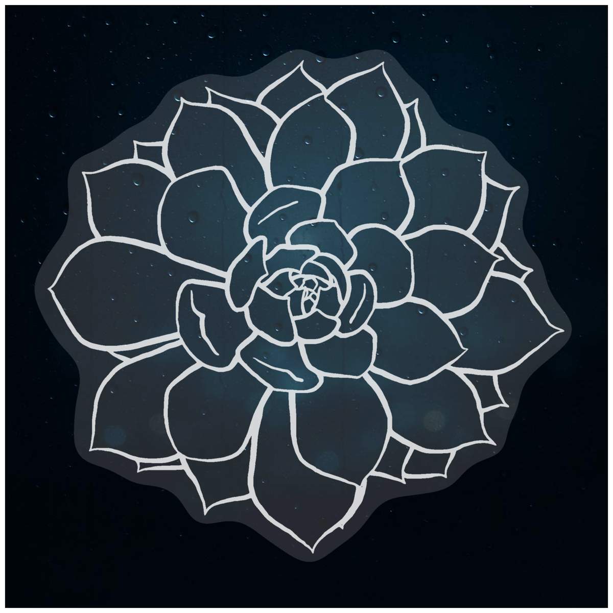 'Succulent Plant' Static Window Clings / Stickers (WC013845)