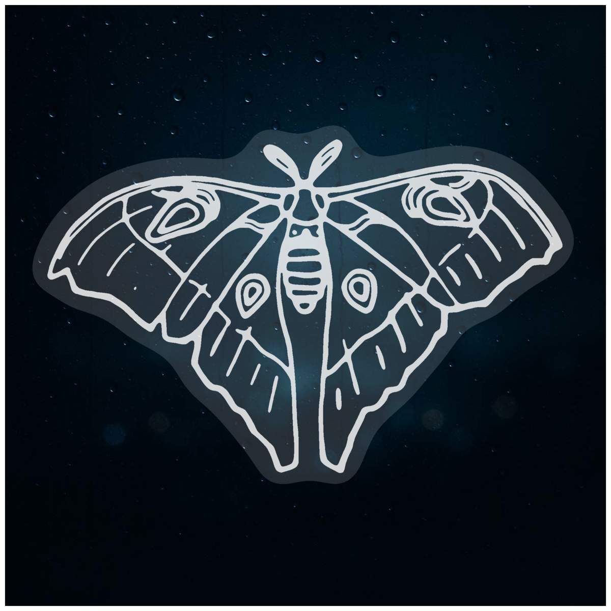 'Silk Moth' Static Window Clings / Stickers (WC018686)