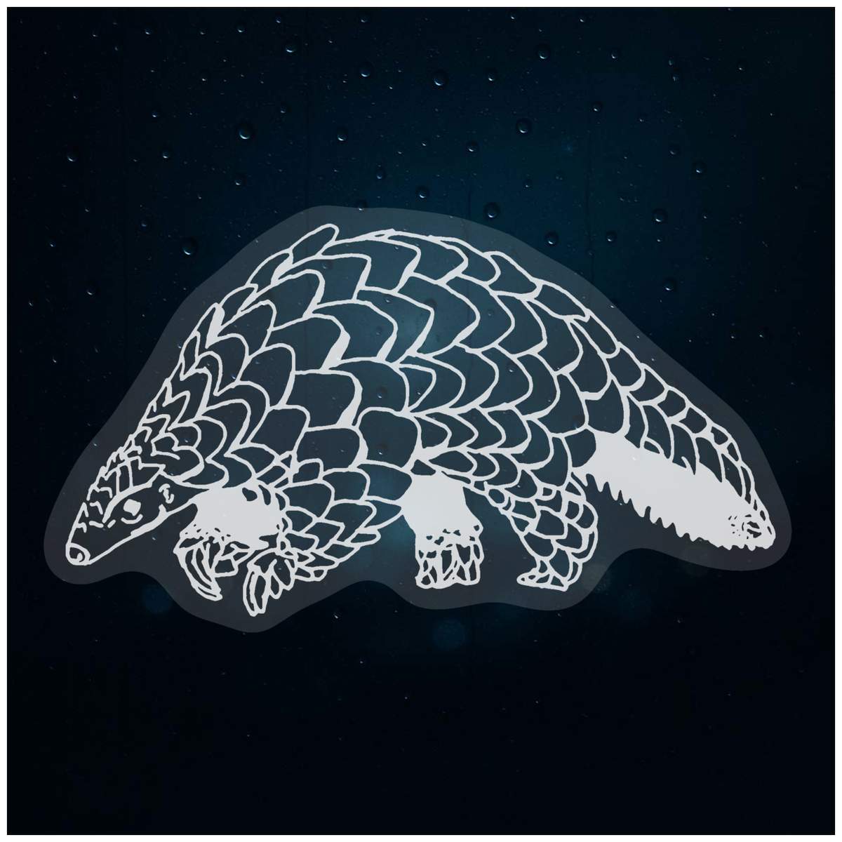 'Pangolin' Static Window Clings / Stickers (WC020163)