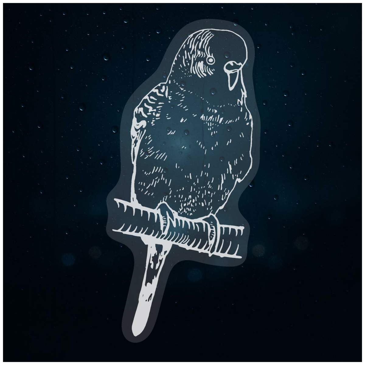 'Budgie' Static Window Cling / Decal - Removable Decal for Mirrors, Glass Doors and Cars (WC022256)
