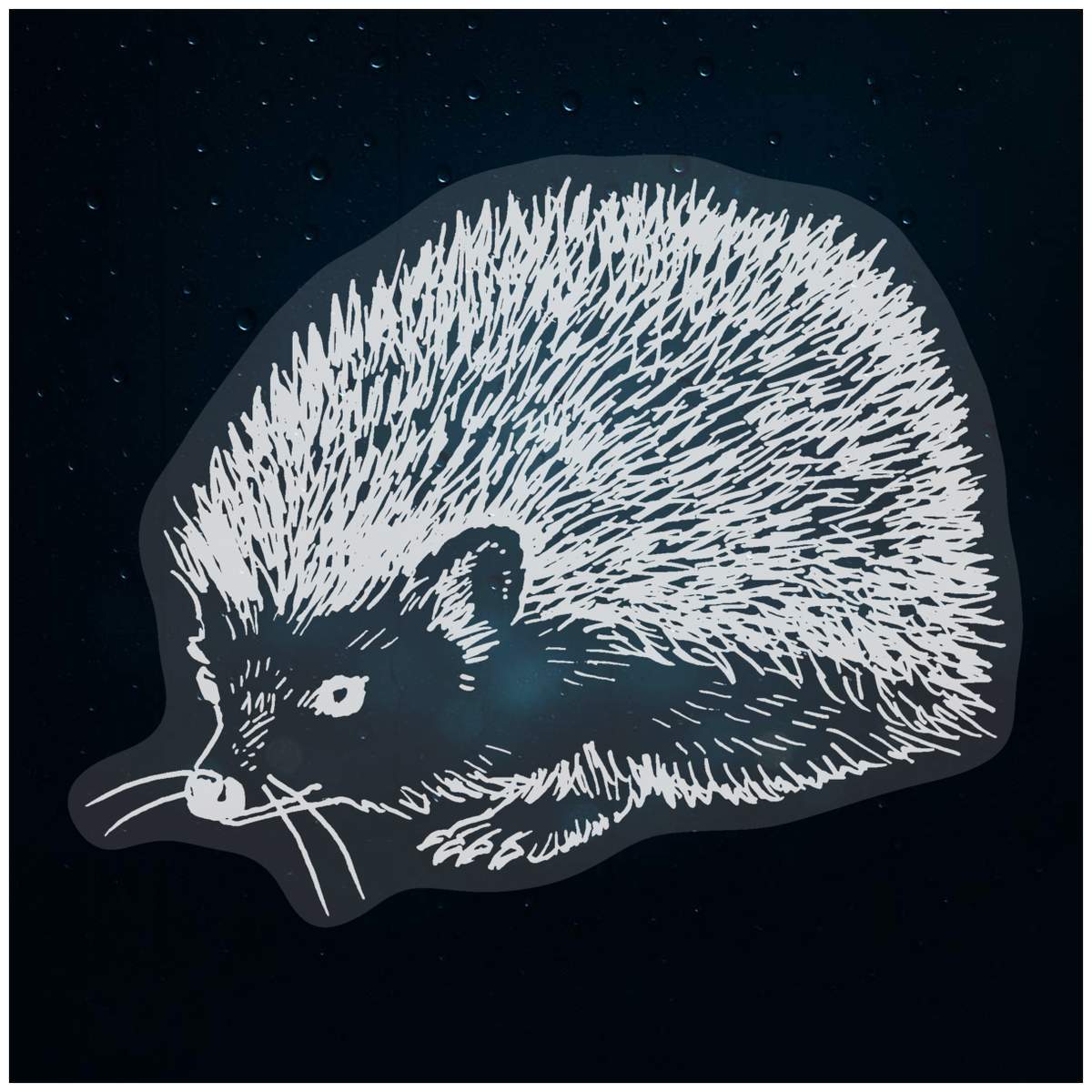 'Hedgehog' Static Window Cling / Decal - Removable Decal for Mirrors, Glass Doors and Cars (WC025397)