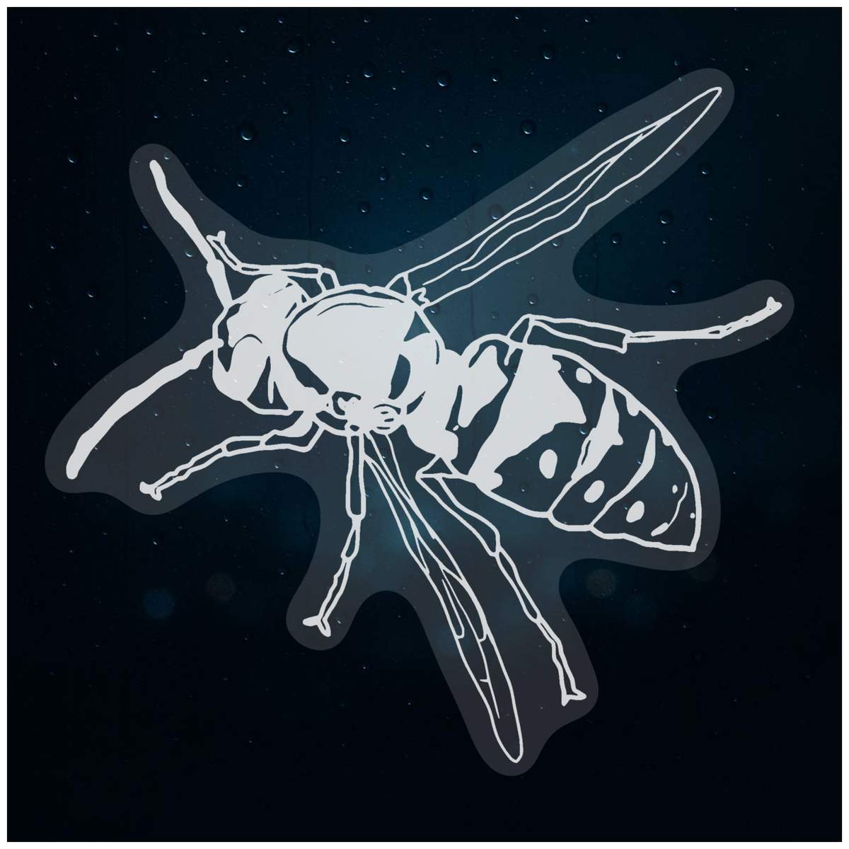 'Wasp' Static Window Cling / Decal - Removable Decal for Mirrors, Glass Doors and Cars (WC027184)
