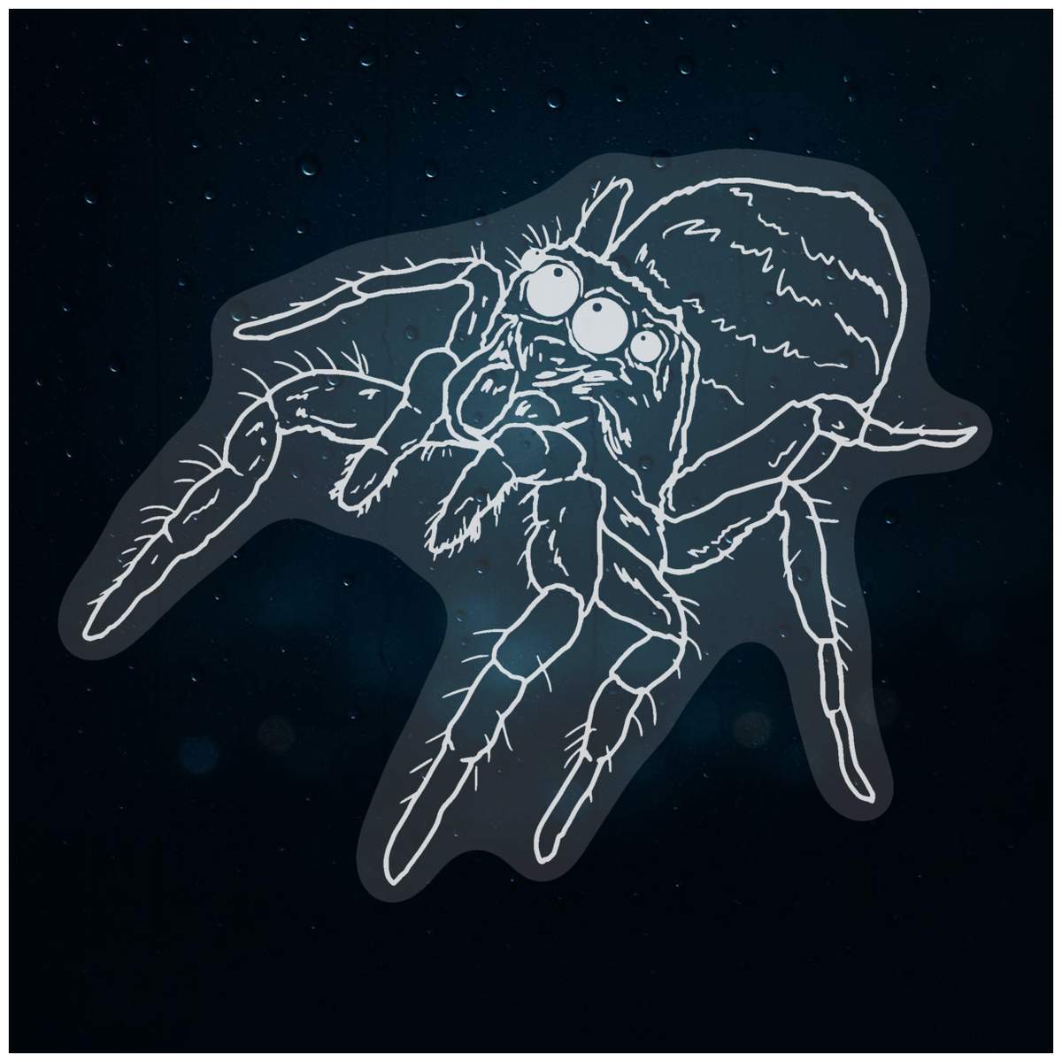 'Jumping Spider' Static Window Clings / Stickers (WC029819)