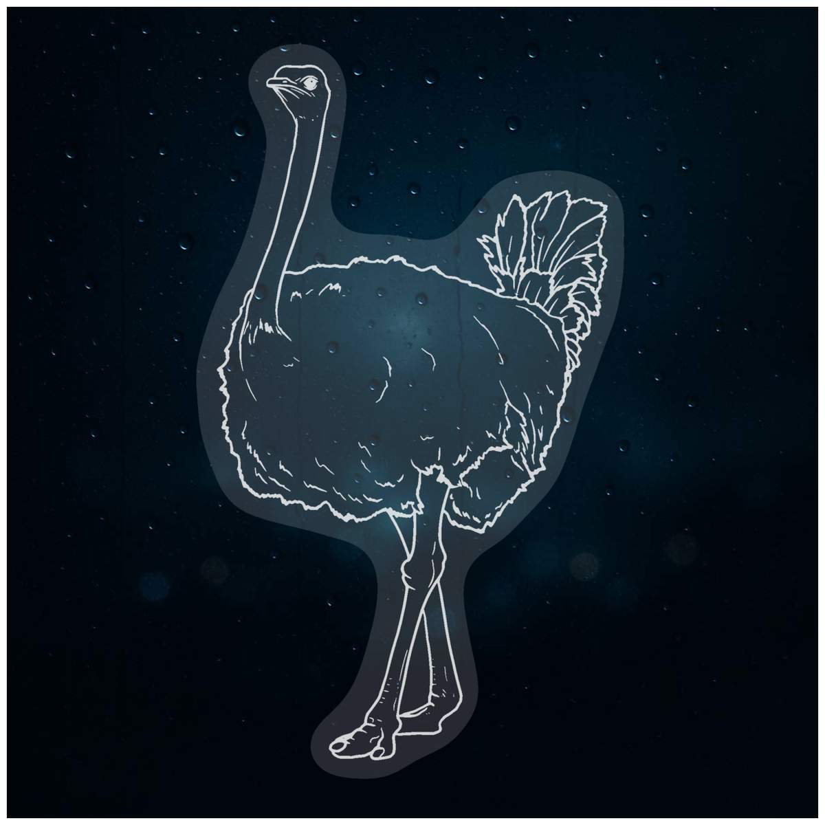 'Ostrich' Static Window Clings / Stickers (WC034321)