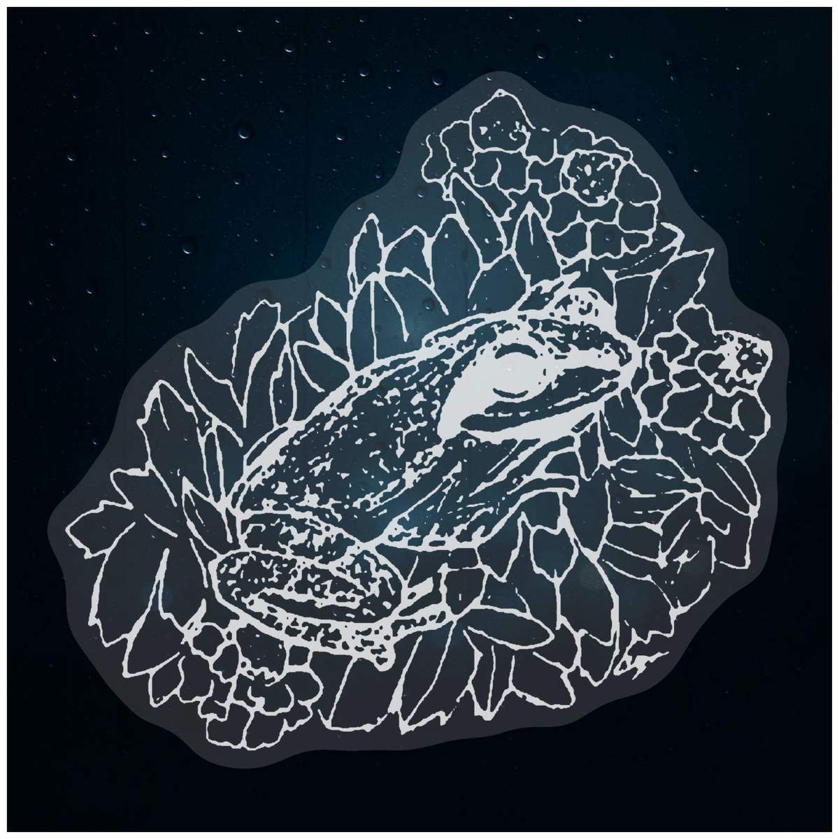 'frog' Static Window Clings / Stickers (WC038783)