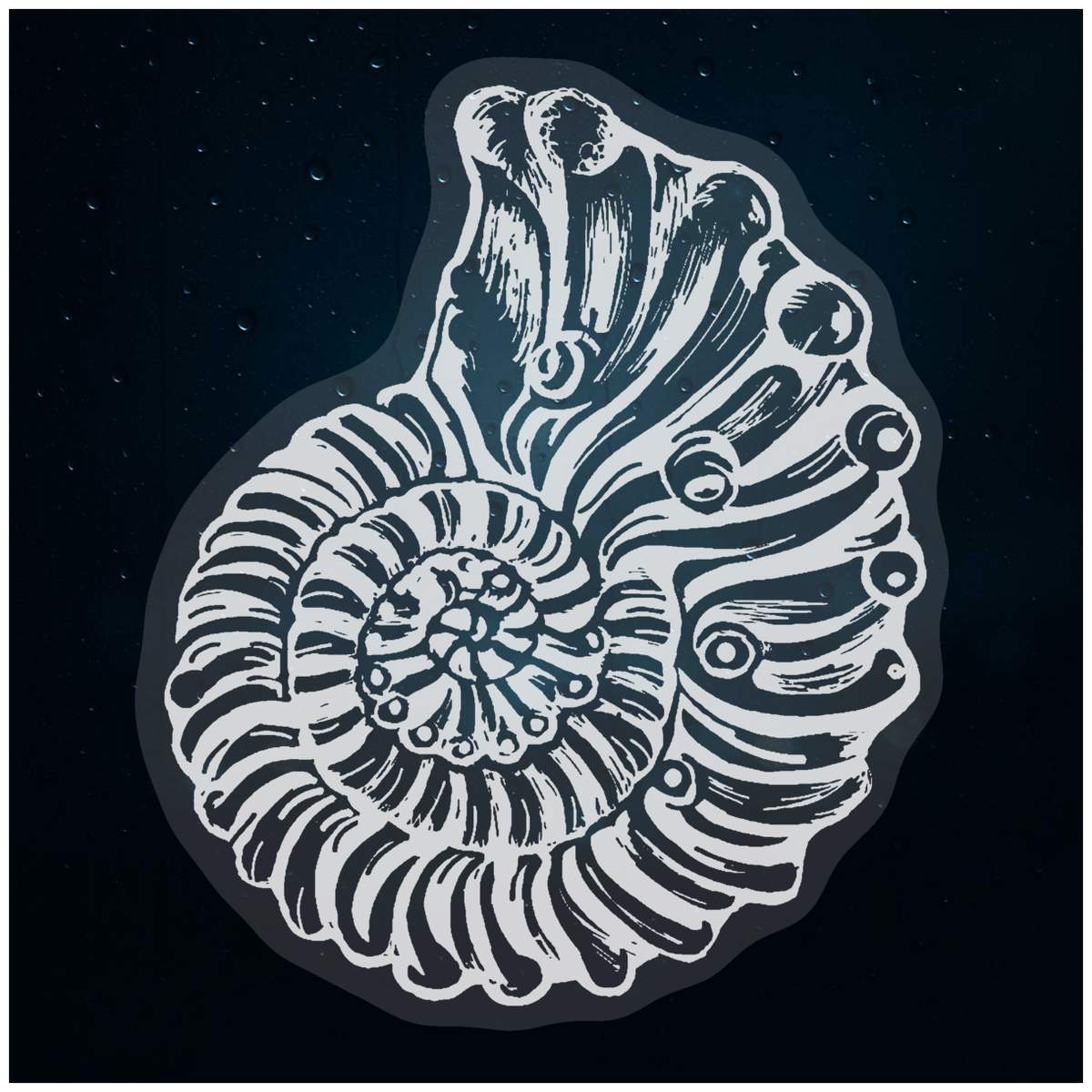 'Ammonite' Static Window Clings / Stickers (WC039026)