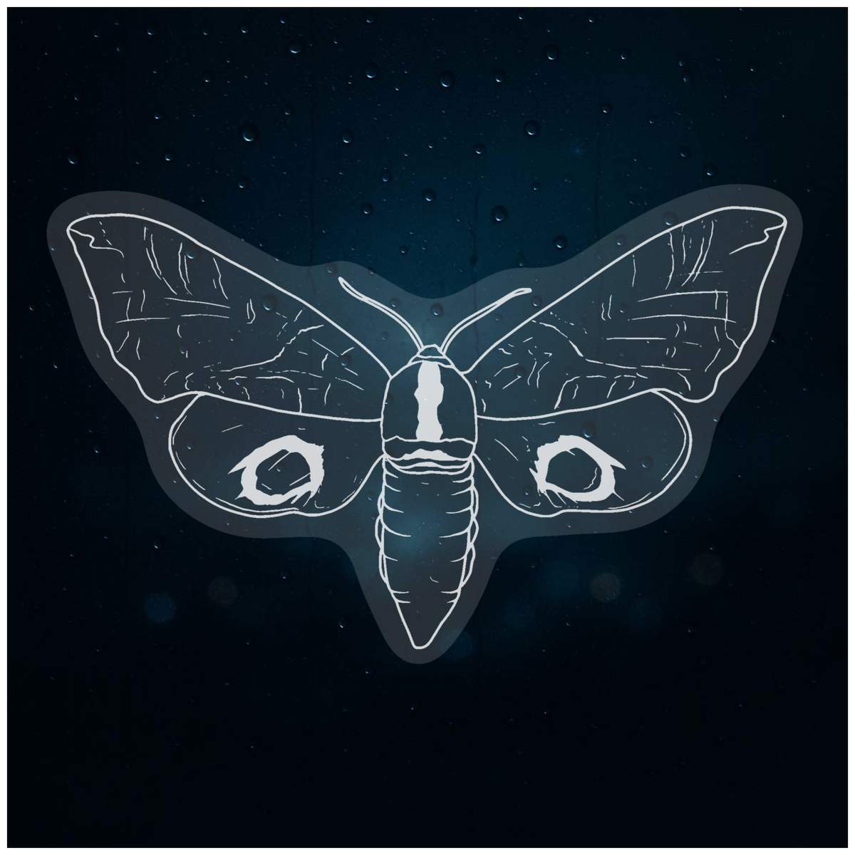 'Hawk Moth' Static Window Clings / Stickers (WC040682)