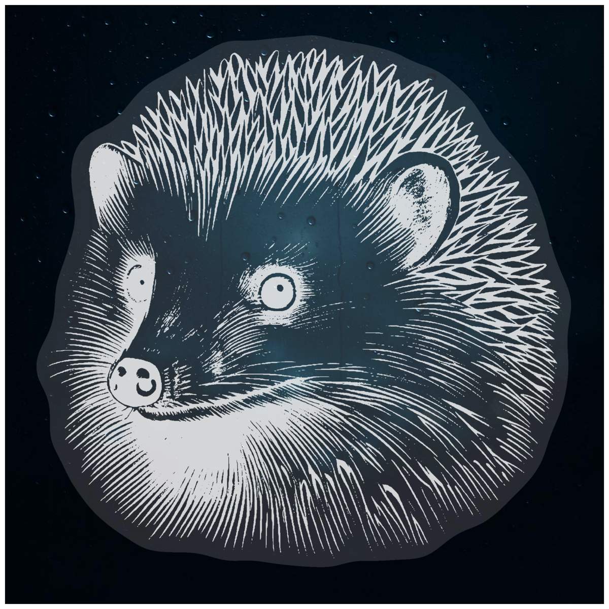 'Hedgehog' Static Window Cling / Decal - Removable Decal for Mirrors, Glass Doors and Cars (WC042619)