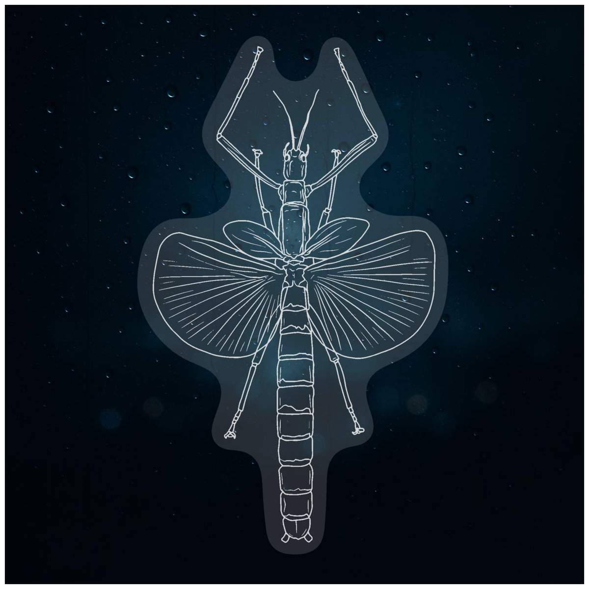 'Stick Insect' Static Window Clings / Stickers (WC046663)