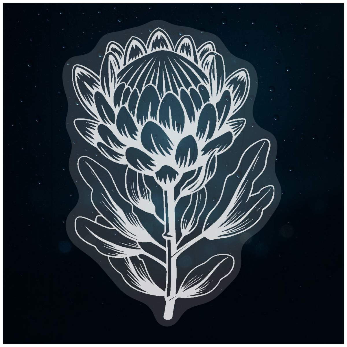 'Protea Flower' Static Window Cling / Decal - Removable Decal for Mirrors, Glass Doors and Cars (WC047205)