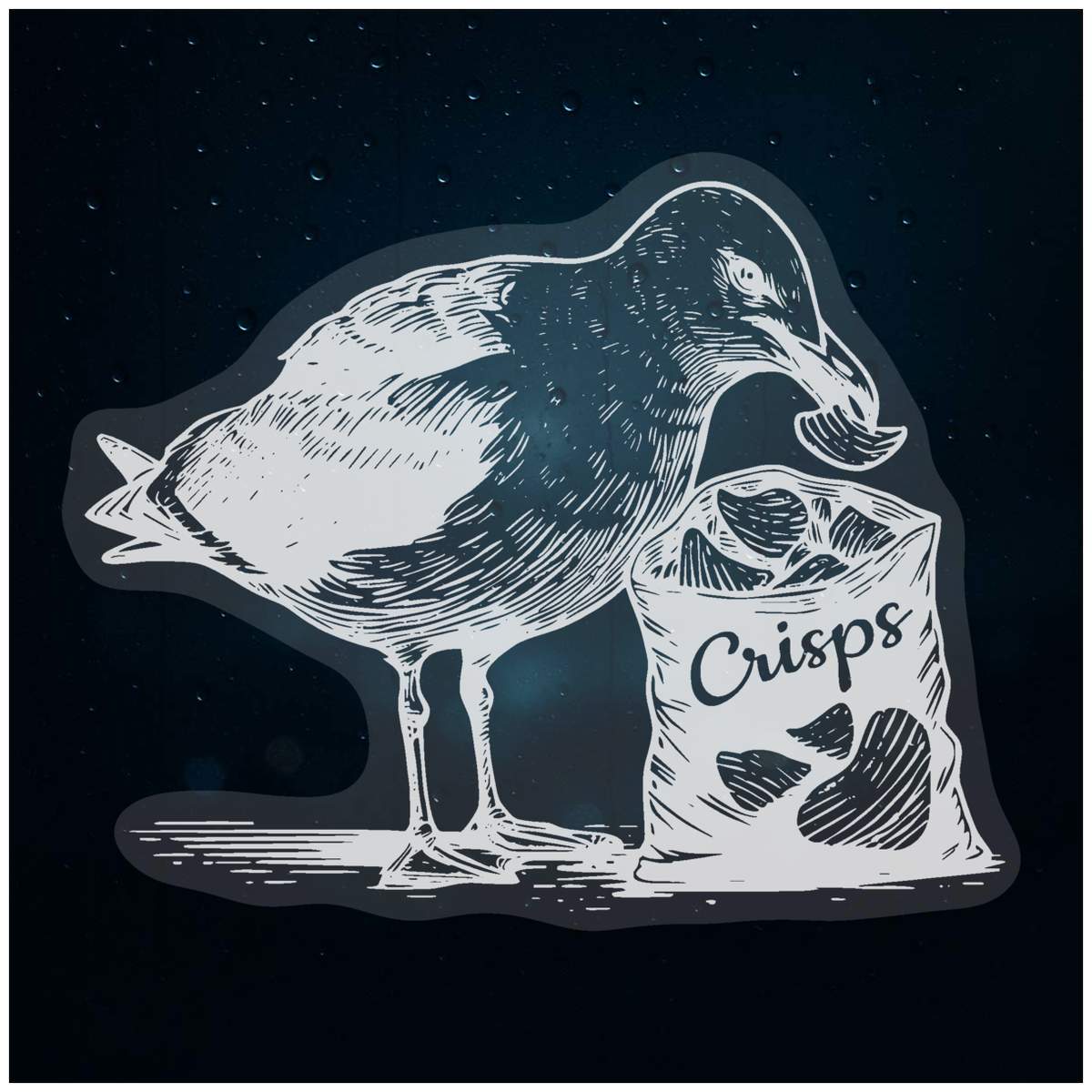 'Seagull With Crisp Packet' Static Window Clings / Stickers (WC051167)