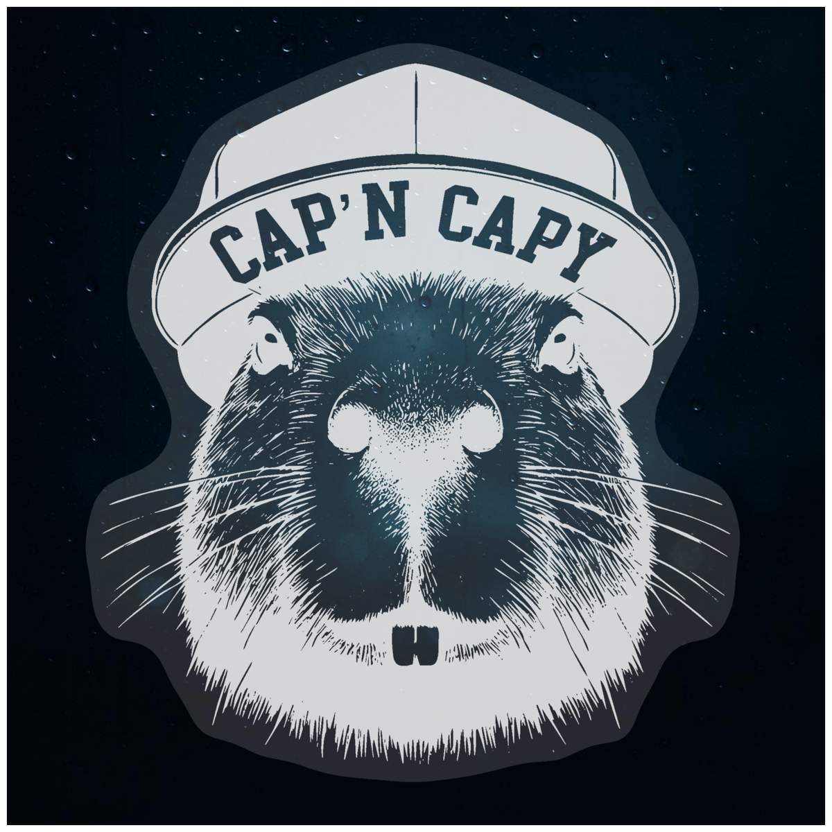 'Captain Capybara' Static Window Clings / Stickers (WC053633)