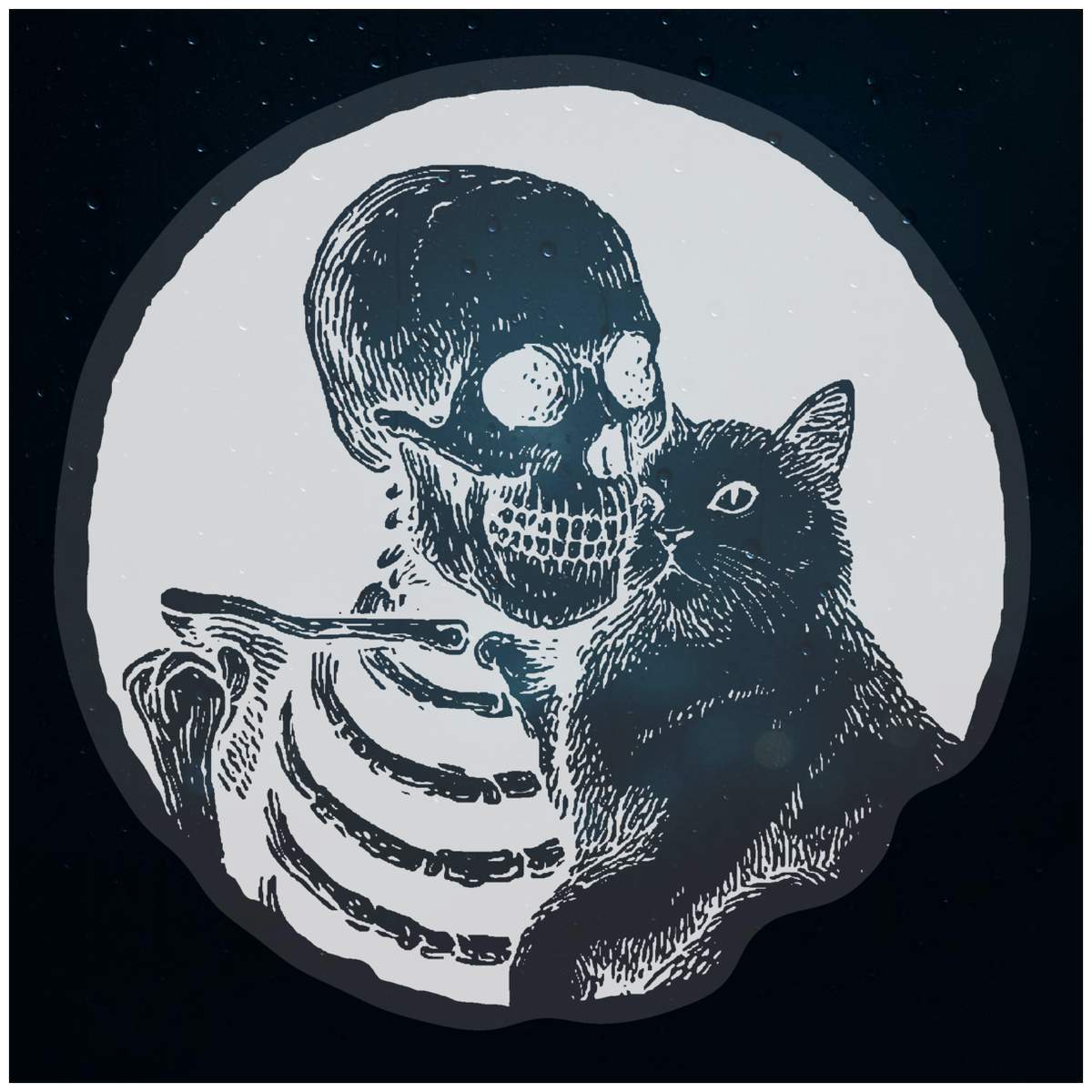 'Skeleton Hugging Cat' Static Window Clings / Stickers (WC055268)
