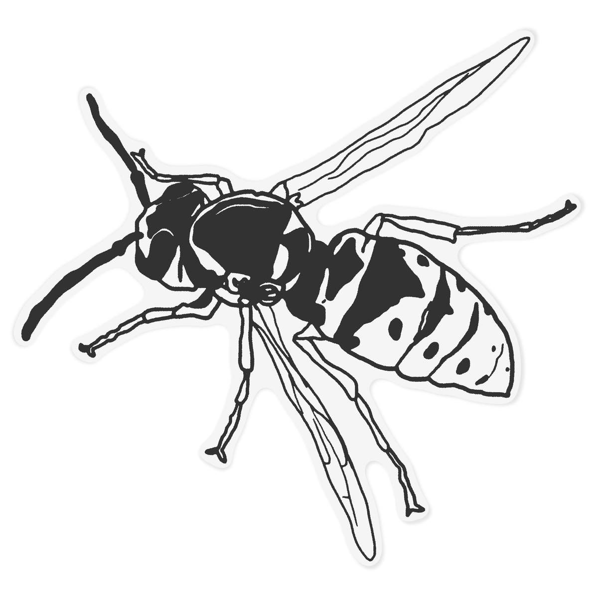 'Wasp' Static Window Cling - Black, 72cm - Reusable Removable Static Cling Decal for Mirrors, Glass Doors and Cars (WC00147510)