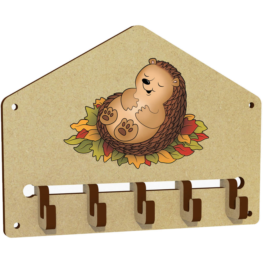 'Sleepy Hedgehog' Wall Mounted Key Hooks / Holder (WH00068052)