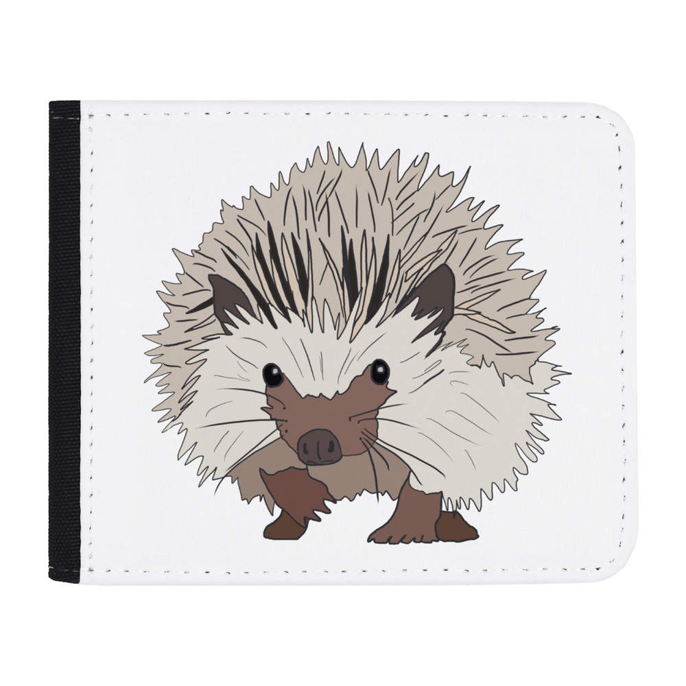 'Spike the hedgehog ' Wallet (WL00017725)