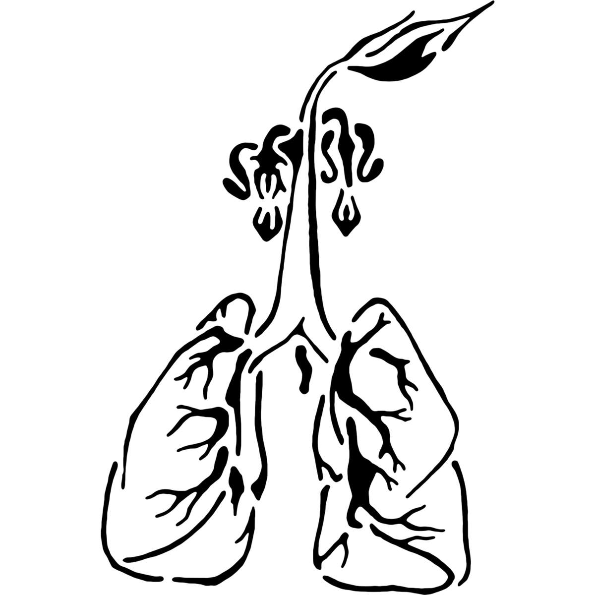 'Lung & Roots' Reusable Stencils – Durable Decorative Templates for Painting and Spraying on Walls, Tiles, Wood, Fabric & Craft Projects (WS009405)