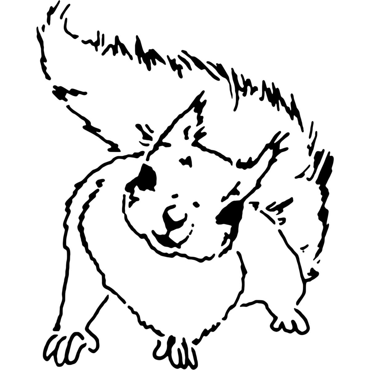 'Curious Squirrel' Reusable Stencils – Durable Decorative Templates for Painting and Spraying on Walls, Tiles, Wood, Fabric & Craft Projects (WS011790)