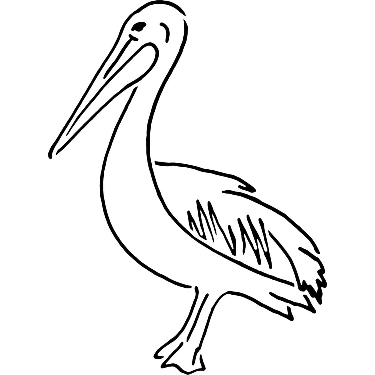 'Pelican' Reusable Wall Stencil - Decorative Template for Walls, Tiles, Wood, Fabric and Crafts (WS022395)